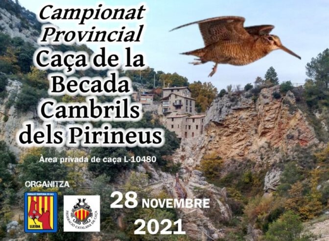 CAMPEONATO PROVINCIAL CAZA DE LA BECADA